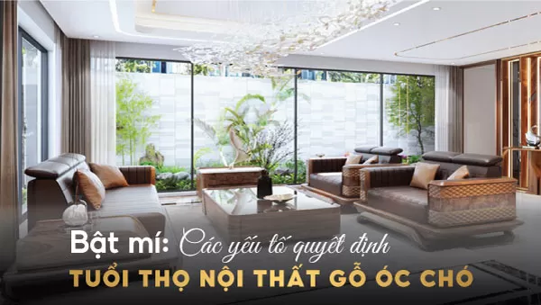 Bí mật đằng sau vẻ đẹp